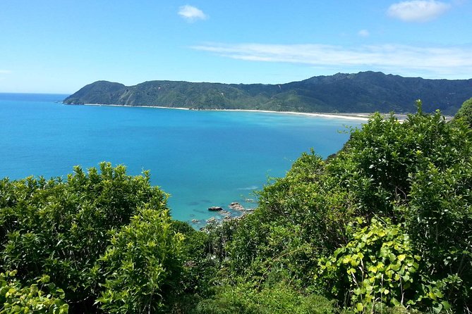 Golden Bay in a Day - Key points at a glance