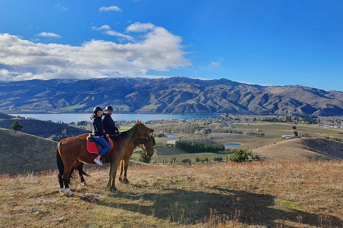 Golden Hills Horse Trek in Central Otago - Timing, weather, and practical planning