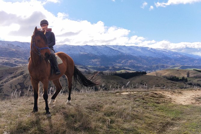 Golden Hills Horse Trek in Central Otago - Riding through fruit orchards