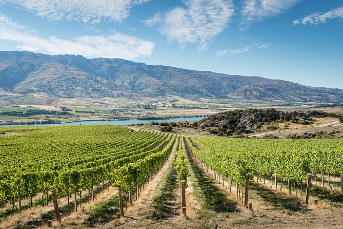 Gourmet Food and Wine Tour Queenstown All-Inclusive Tour - Key points at a glance
