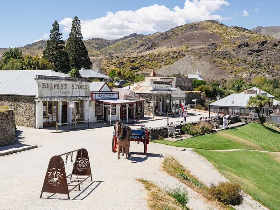 Gourmet Food and Wine Tour with Lunch and Wine Tastings - Cromwell, Bannockburn, and the value of seeing different wineries
