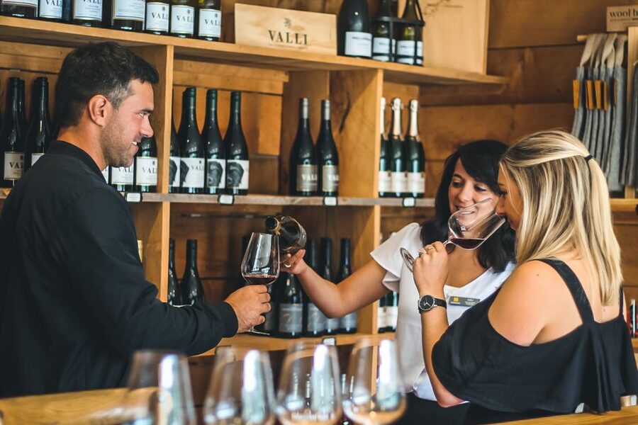 Gourmet Food and Wine Tour with Lunch and Wine Tastings - Who should book this wine tour?