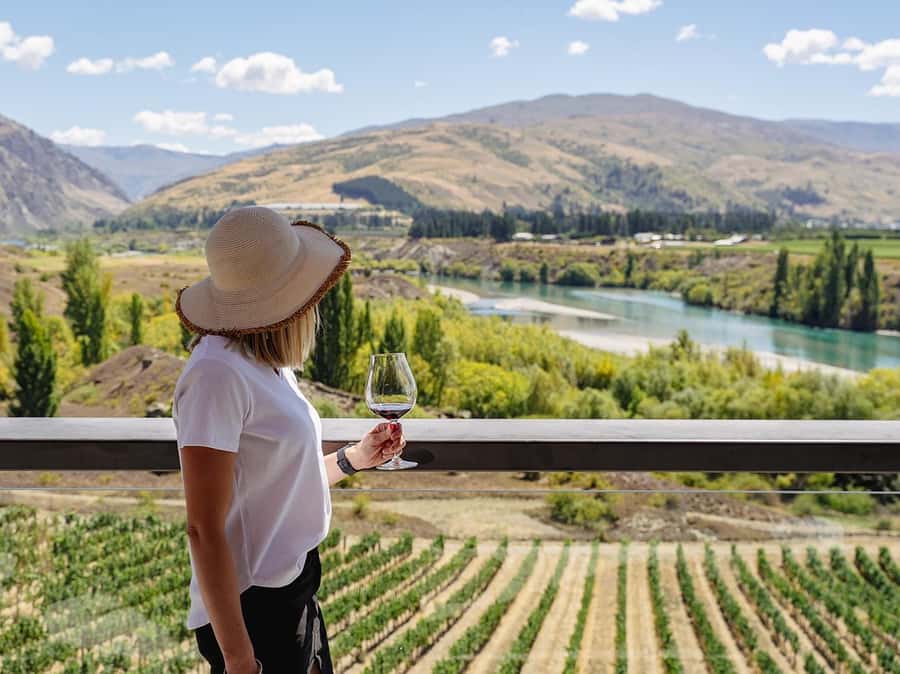 Gourmet Food and Wine Tour with Lunch and Wine Tastings - The underground wine cave and local cheese pairing