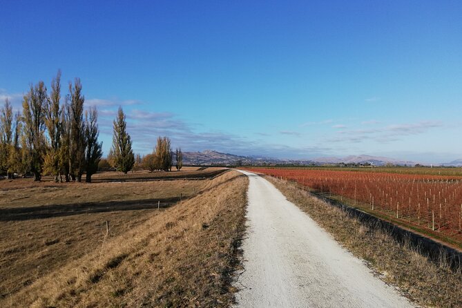 Great Escape Self-Guided Scenic Cycle Winery Tour from Napier - The Tukituki River trail and vineyard country