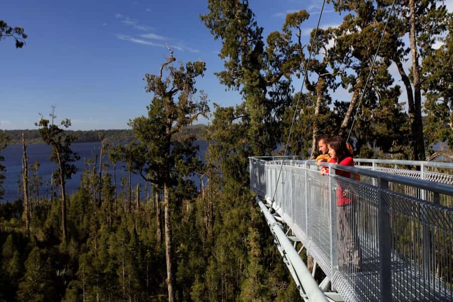 Greymouth: Full-Day Best Of The West Tour - Why this West Coast day works so well