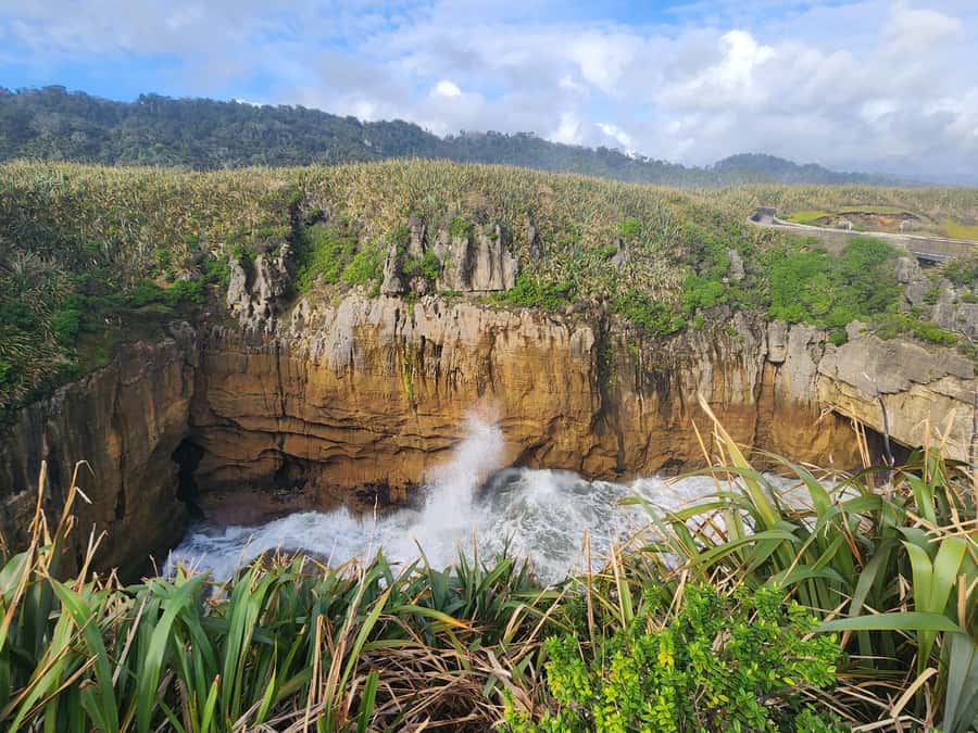Greymouth: Full-Day Best Of The West Tour - Reaching the trees at Lake Mahinapua