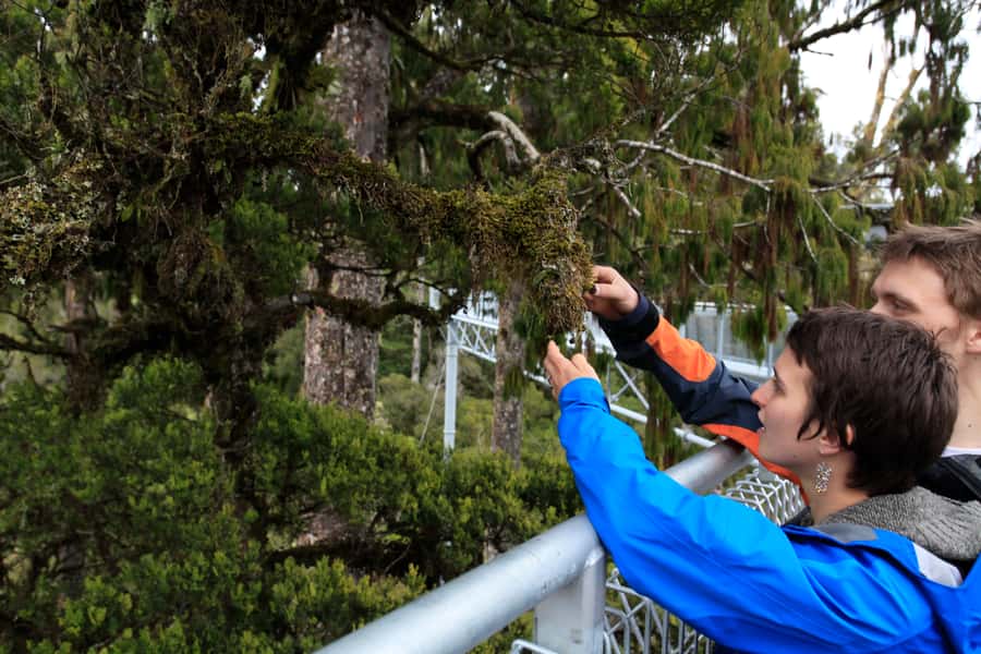 Greymouth: Full-Day Best Of The West Tour - The coastal road to Punakaiki