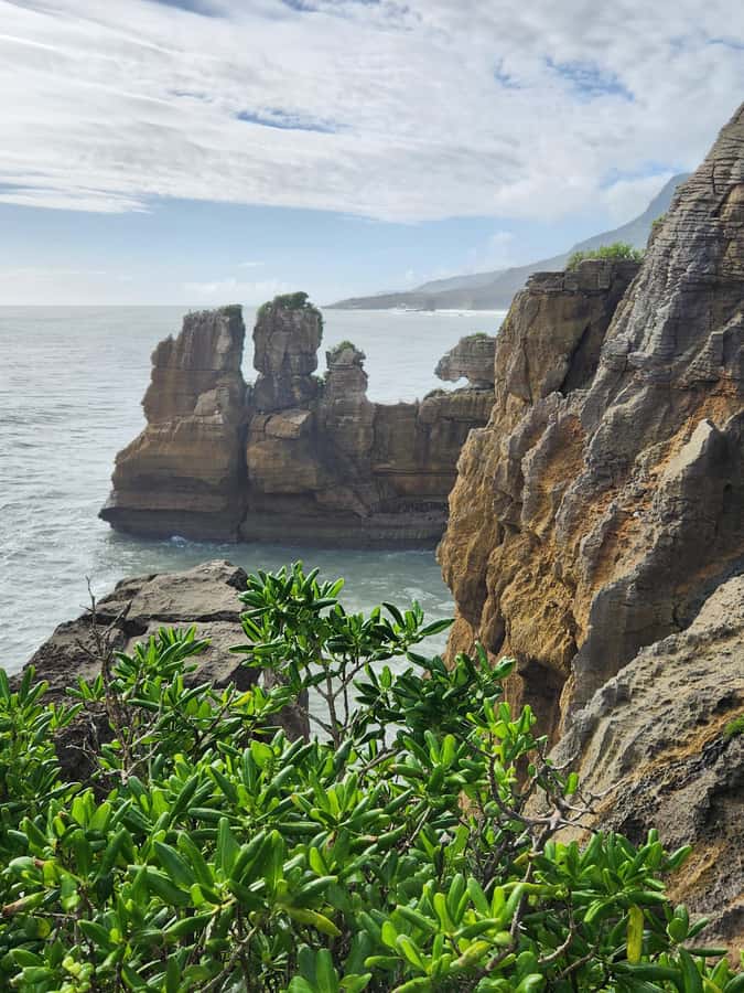 Greymouth: Full-Day Best Of The West Tour - Who should book this day out