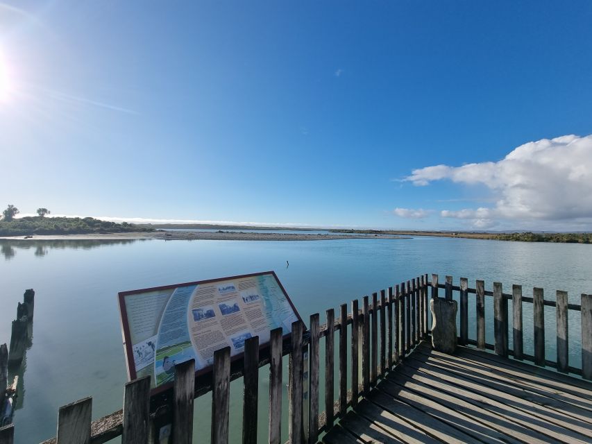 Greymouth: Glacier, Heritage & Wildlife Centre Guided Tour - Rowi kiwi and tuatara indoors