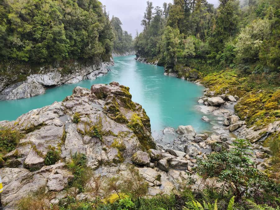 Greymouth: Hokitika Gorge and Tree Top Walkway Half-Day Tour - Walking 20 meters above Lake Mahinapua