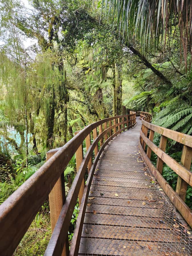Greymouth: Hokitika Gorge and Tree Top Walkway Half-Day Tour - What the small group changes