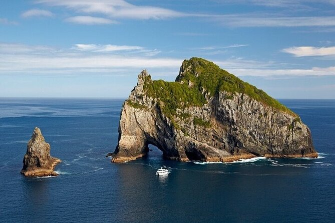 Group tour to Bay of Islands return from Auckland - Who should book this day trip?