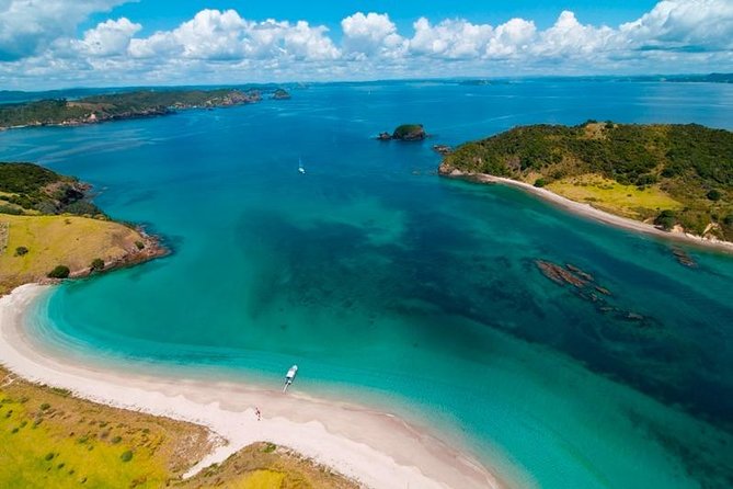 Group tour to Bay of Islands return from Auckland - Practical advice before you go