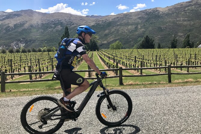 Guided eBike Wine Tour Ride to the Vines - Starting at Country Lane and Arrowtown