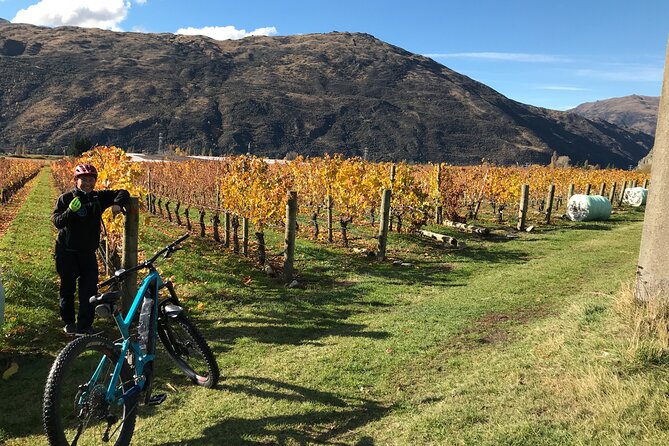 Guided eBike Wine Tour Ride to the Vines - Timing, weather, and cancellation details