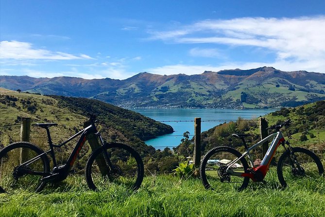 Guided Electric Mountain Bike & Sea Kayak Tour in Akaroa - Paddling the crater coastline and marine reserve