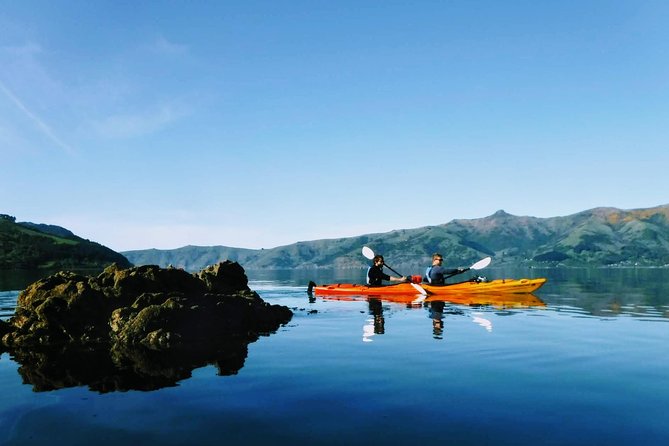 Guided Electric Mountain Bike & Sea Kayak Tour in Akaroa - Small groups, snacks, photos, and guide attention