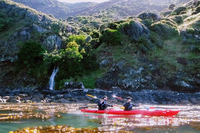 Guided Electric Mountain Bike & Sea Kayak Tour in Akaroa - The short changeover before kayaking