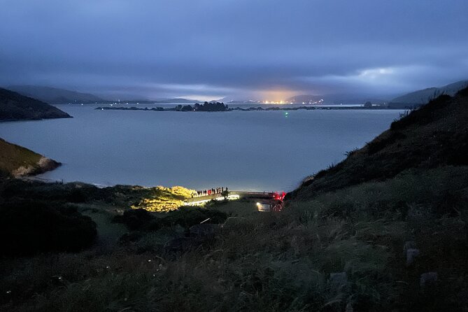 Guided Evening Penguin Viewing Otago Peninsula, Dunedin, New Zealand - What Happens During the 90 Minutes
