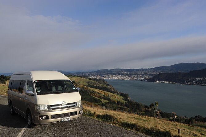 Guided Evening Penguin Viewing Otago Peninsula, Dunedin, New Zealand - Is $34.13 Good Value?
