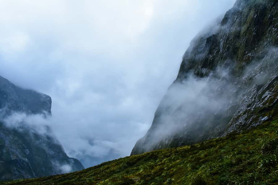 Guided Private Milford Sound Day Tour from Te Anau(Cruise In - Why the private drive matters on the Milford Road