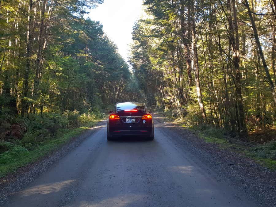Guided Private Milford Sound Day Tour from Te Anau(Cruise In - What makes the guiding personal