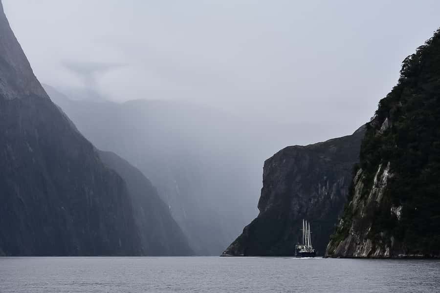 Guided Private Milford Sound Day Tour from Te Anau(Cruise In - Who should choose this Milford Sound tour