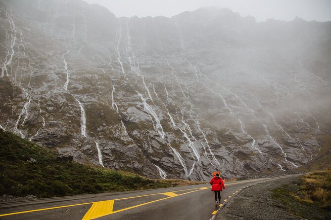 Guided Private Milford Sound Day Tour from Te Anau(Cruise Included) - What the $217.20 price includes