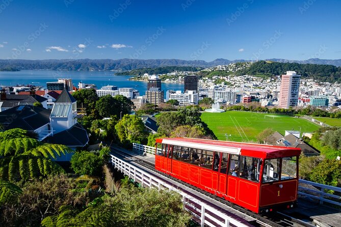 Guided Small Group Walking Tour in Wellington - Cuba Street adds a welcome pause
