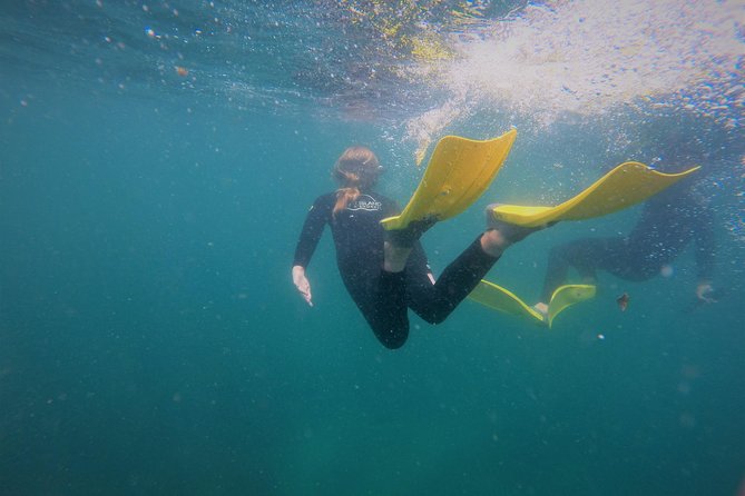 Guided Snorkel Experience, Advanced - The briefing before you enter the water