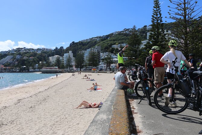 Guided Wellington Tour by Electric Bike - Hataitai Beach and the café pause