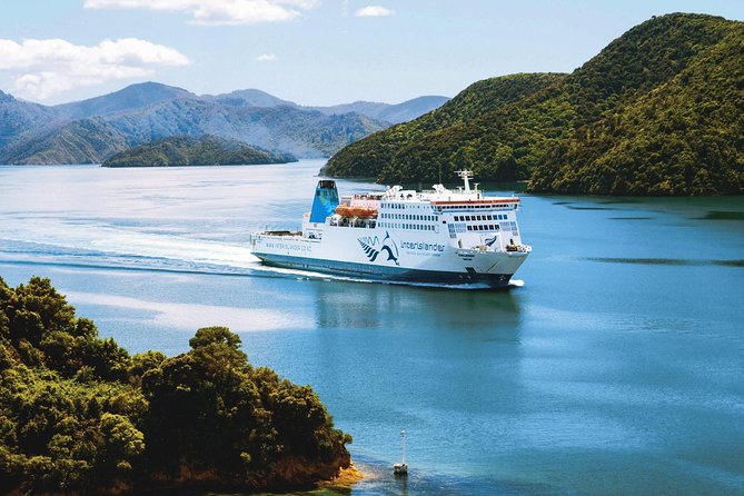 Guided Wellington Tour by Electric Bike - Maupuia Walkway and the best view of the ride