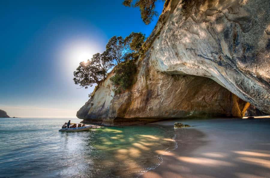 Hahei Explorer Cathedral Cove Boat Tour - Sea caves, blowholes, and bays close to the boat