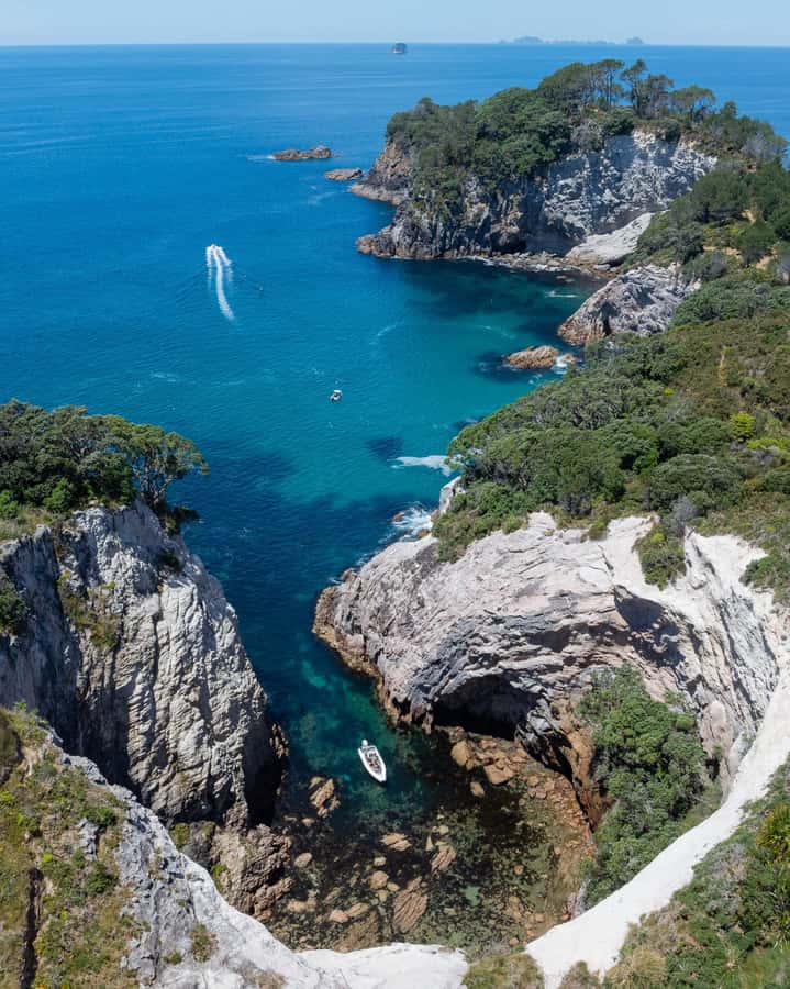 Hahei Explorer Cathedral Cove Boat Tour - Marine reserve viewing and the chance of seeing fish
