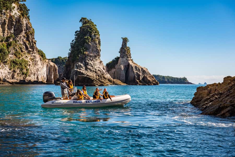 Hahei Explorer Cathedral Cove Boat Tour - Practical tips for a smooth departure