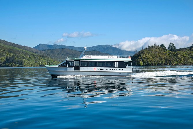 Half-Day Cruise in Marlborough Sounds from Picton - From Picton at 9:00 am into Queen Charlotte Sound