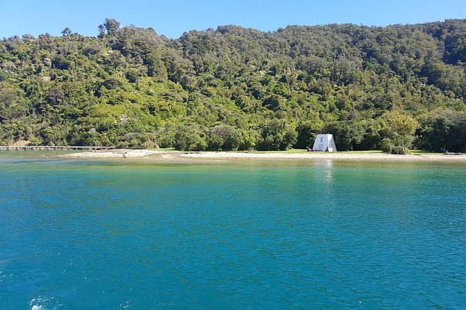 Half-Day Cruise in Marlborough Sounds from Picton - Simple planning details that matter