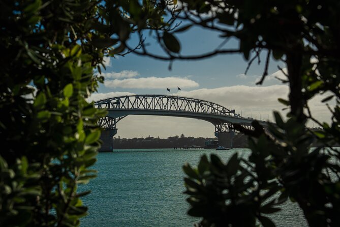 Half-day Discover Auckland City Sightseeing Tour - Key points at a glance
