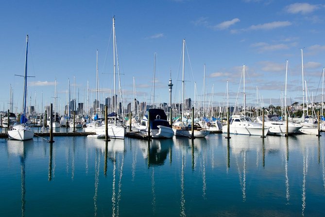 Half-day Discover Auckland City Sightseeing Tour - Mt. Eden and the best major viewpoint
