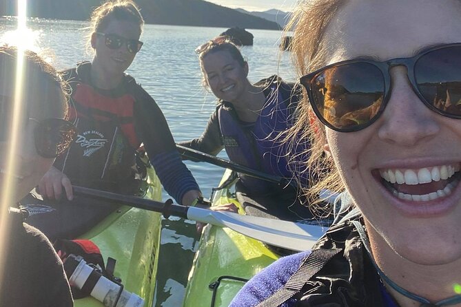 Half-Day Guided Sea Kayak Trip from Picton - Key points to know before you paddle