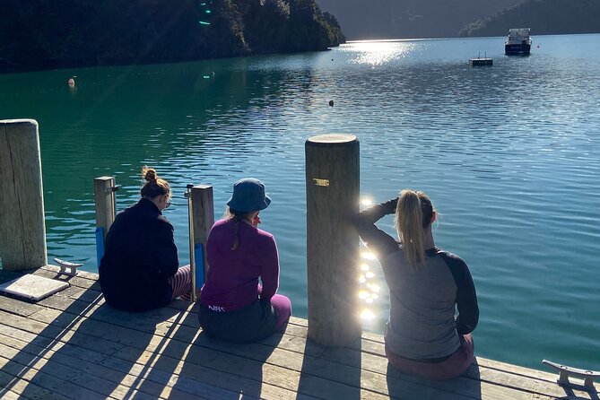 Half-Day Guided Sea Kayak Trip from Picton - Why this Picton kayak trip works so well