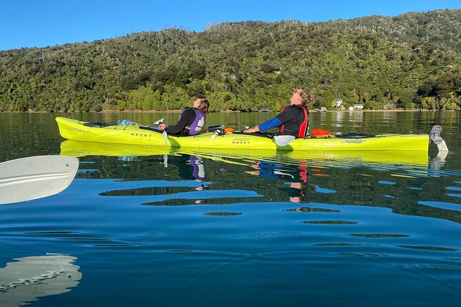 Half-Day Guided Sea Kayak Trip from Picton - How much value do you get for $74.47?