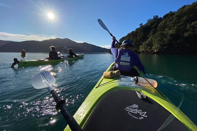 Half-Day Guided Sea Kayak Trip from Picton - Who should book this outing?