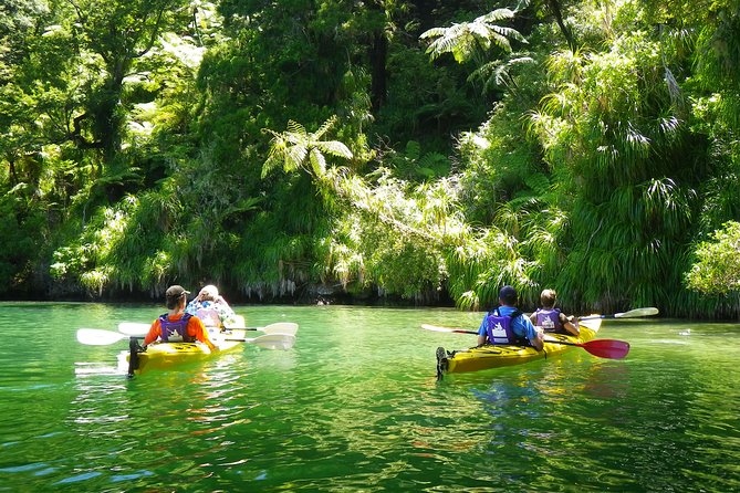 Half-Day Guided Sea Kayak Trip from Picton - Paddling the Grove Arm toward Ngakuta Bay
