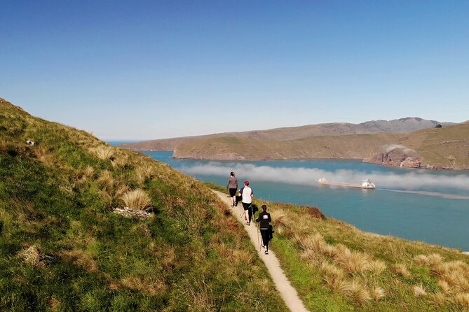 Half Day Guided Walking Tour on Banks Peninsula - The minivan ride keeps the morning or afternoon simple