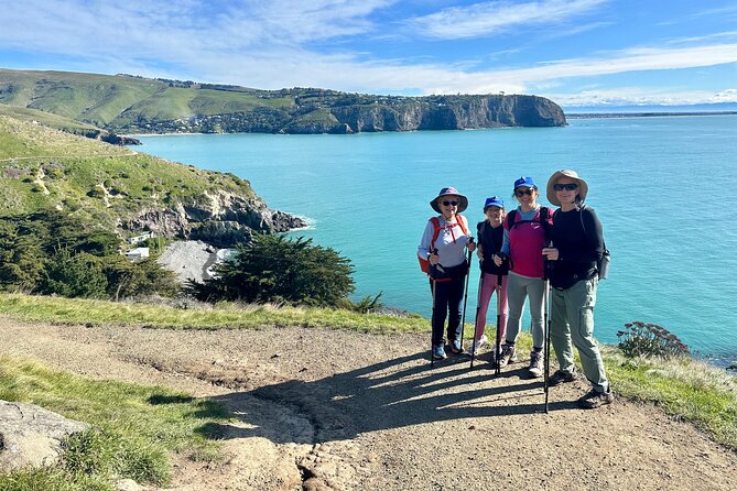 Half Day Guided Walking Tour on Banks Peninsula - Is €128.65 fair for four hours?