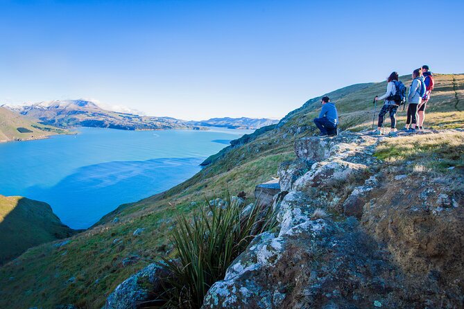 Half Day Guided Walking Tour on Banks Peninsula - The 4 km route offers views without a full-day commitment