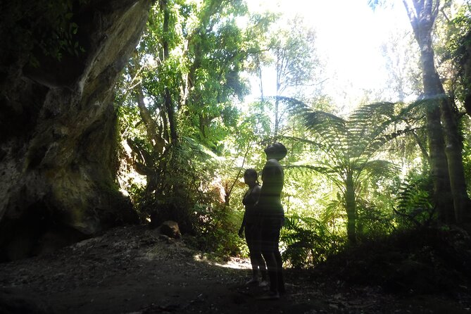 Half-Day Kayak to the Maori Rock Carvings in Lake Taupo - How strenuous is this half-day tour?