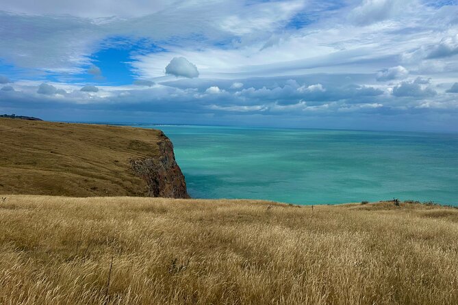 Half Day Luxury Private Guided Crater Rim Walk - What a private guide adds
