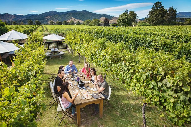 Half-Day Marlborough Wine Tour & Beer Tour - The lunch question: useful break or extra expense?